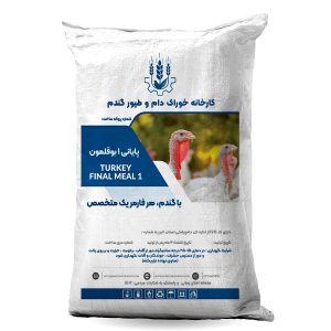 خوراک پایانی بوقلمون