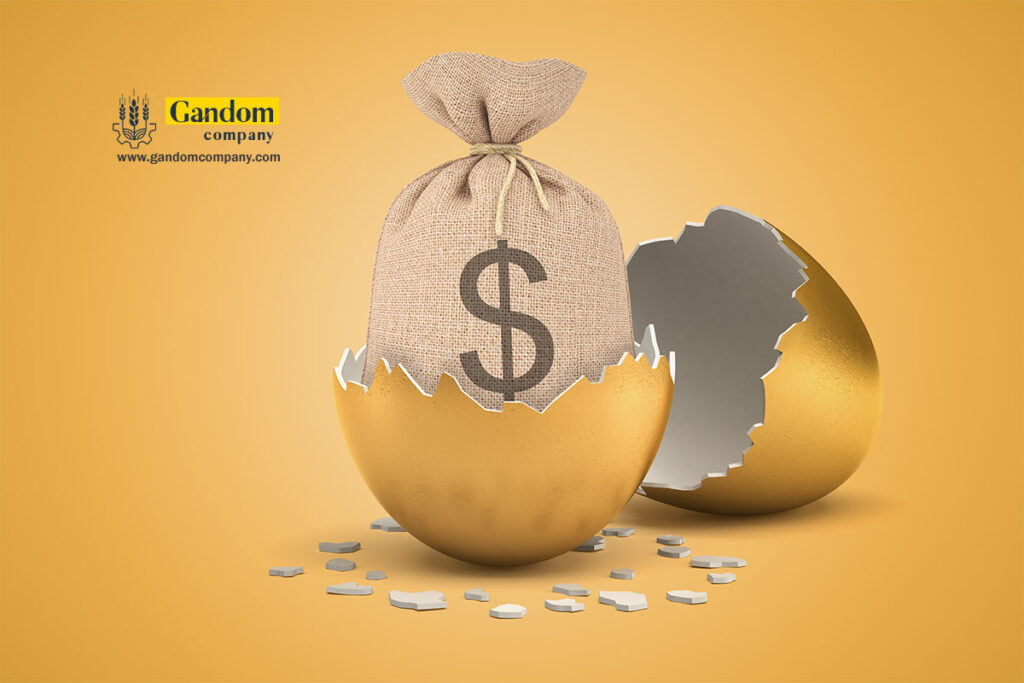 چگونه در بازار جوجه کشی سهیم شویم؟