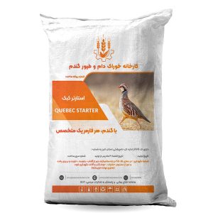 استارتر کبک