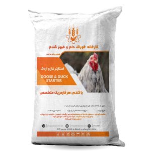 استارتر مرغ زینتی