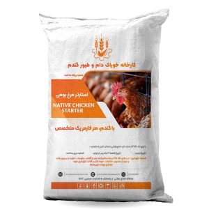 استارتر مرغ بومی