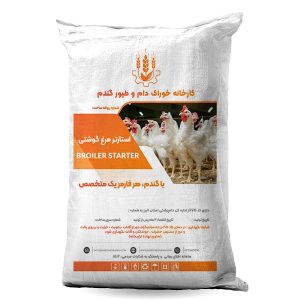 مرغ گوشتی