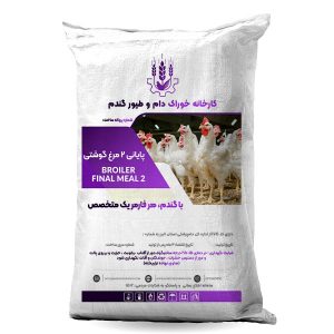 مرغ گوشتی