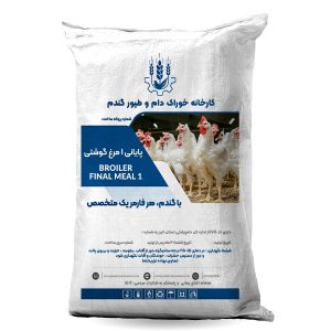 دان مرغ