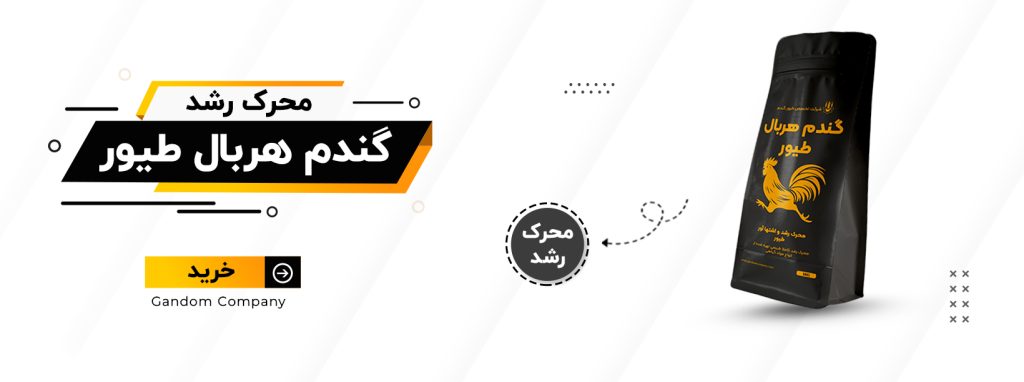 بنر بیوهربال