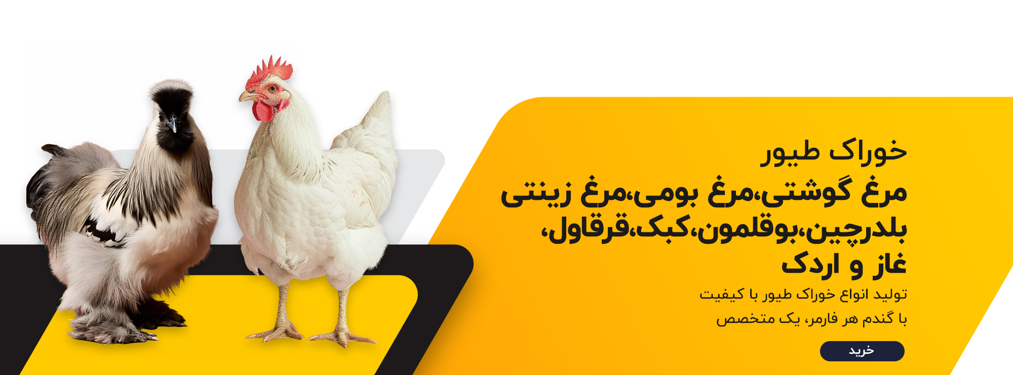 خوراک طیور مرغ و کبک و بوقلمون
