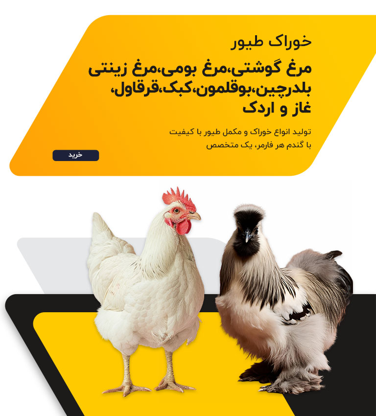 خوراک طیور